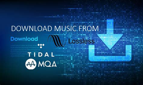 On mobile it’s ‘settings’ and then ‘quality’ to adjust the quality of streaming and <b>downloads</b> based on your wi-fi/cellular status (see point 9 and 10. . Download tidal